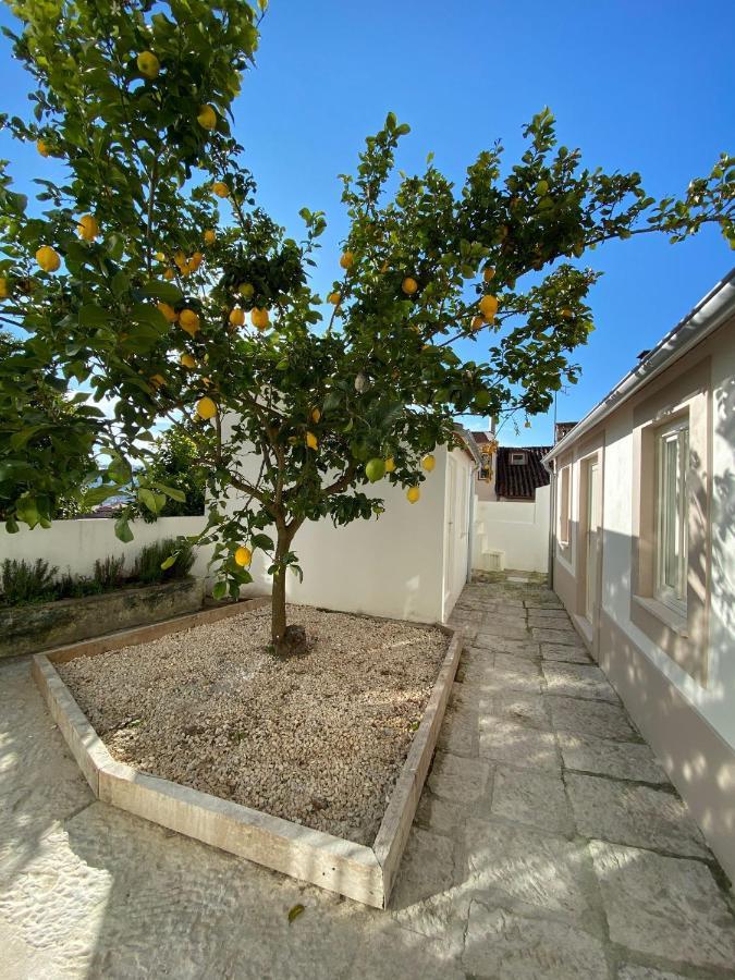 Se Velha Studios Coimbra Luaran gambar